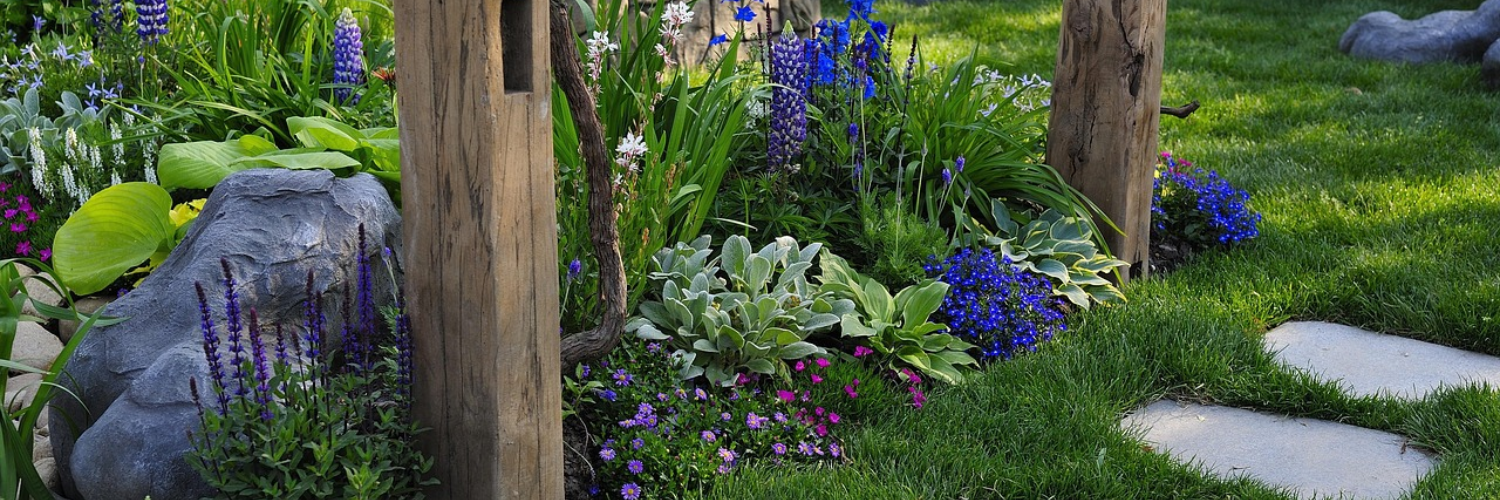 Feeding Flowering Plants: What You Need to Know