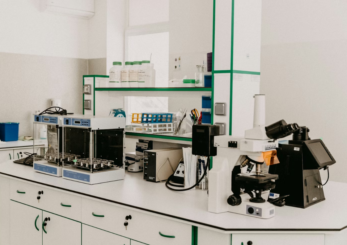 Understanding the Top Ingredients in Our Chemical-Free Formula