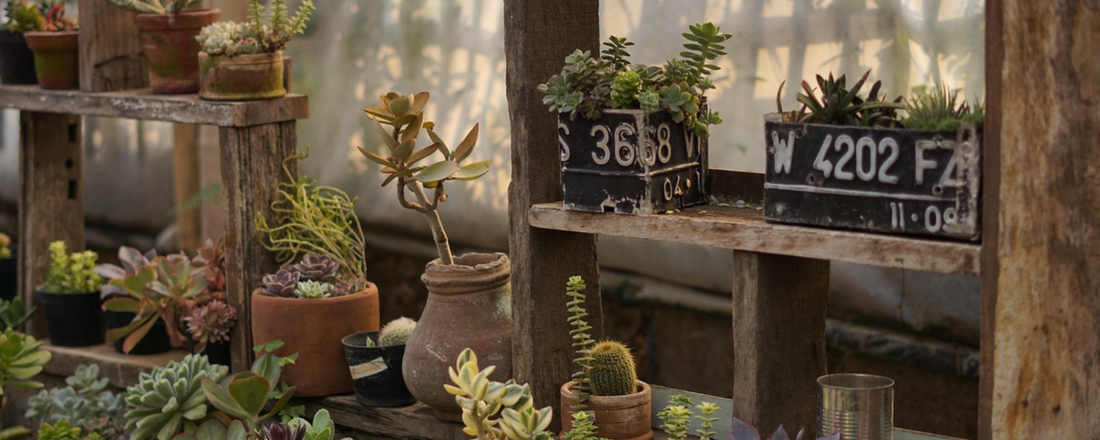 Seasonal Feeding Guide: Spring, Summer, Fall, Winter