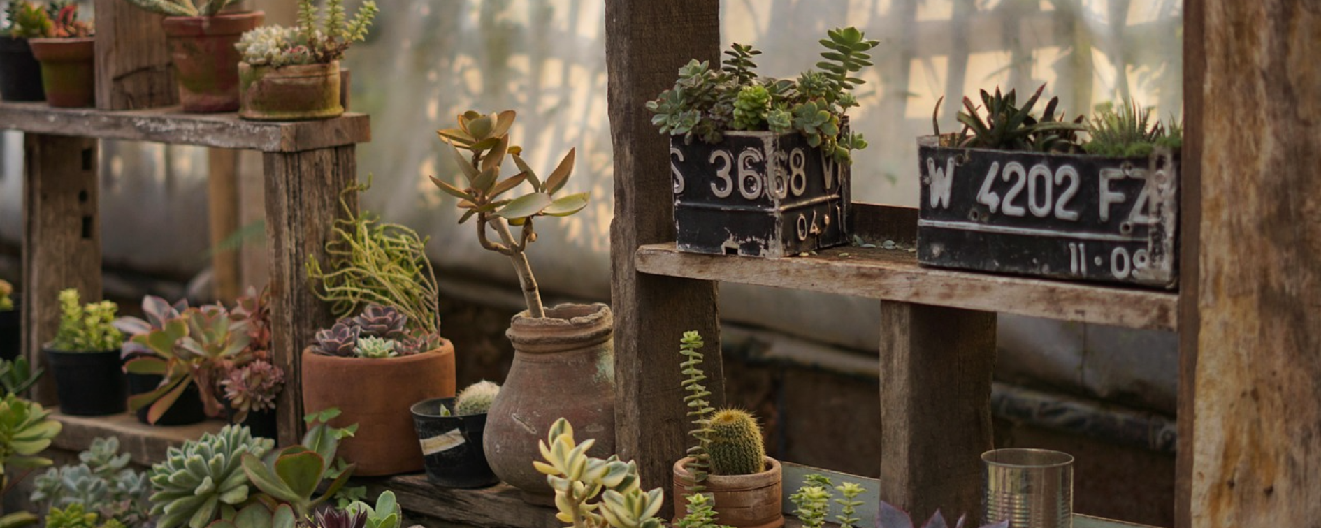 Seasonal Feeding Guide: Spring, Summer, Fall, Winter