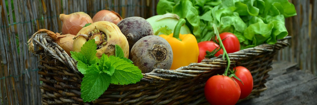 How to Boost Vegetable Growth With Liquid Plant Food - 9 Powerful Gardening Secrets