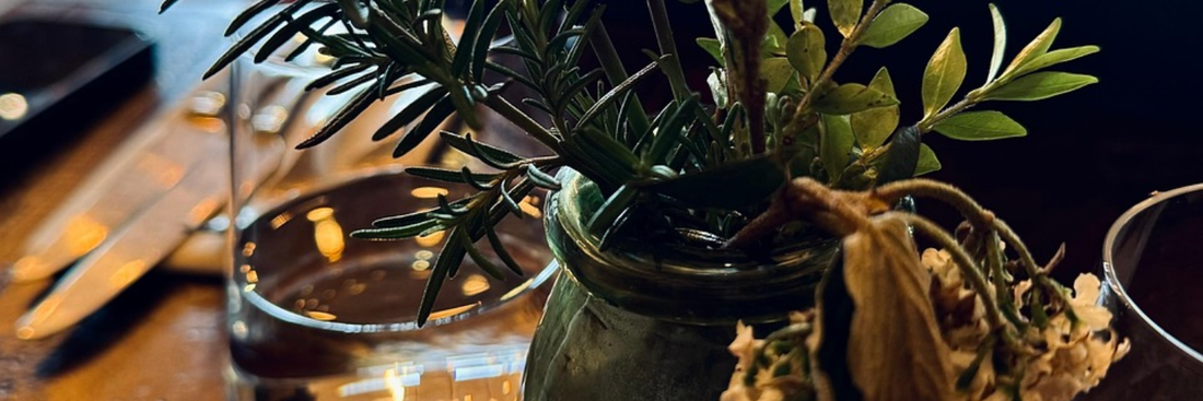 A Beginner Guide to Feeding Your Potted Citrus Plants with Liquid Plant Food