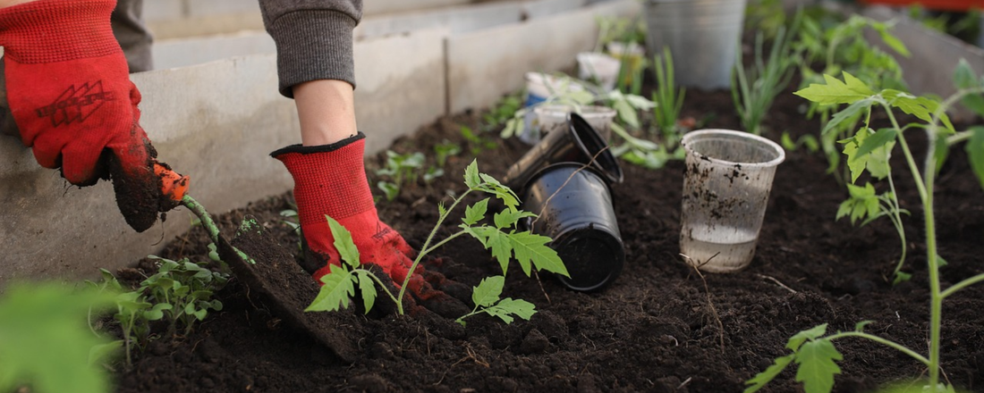 How to Fix Common Feeding Mistakes