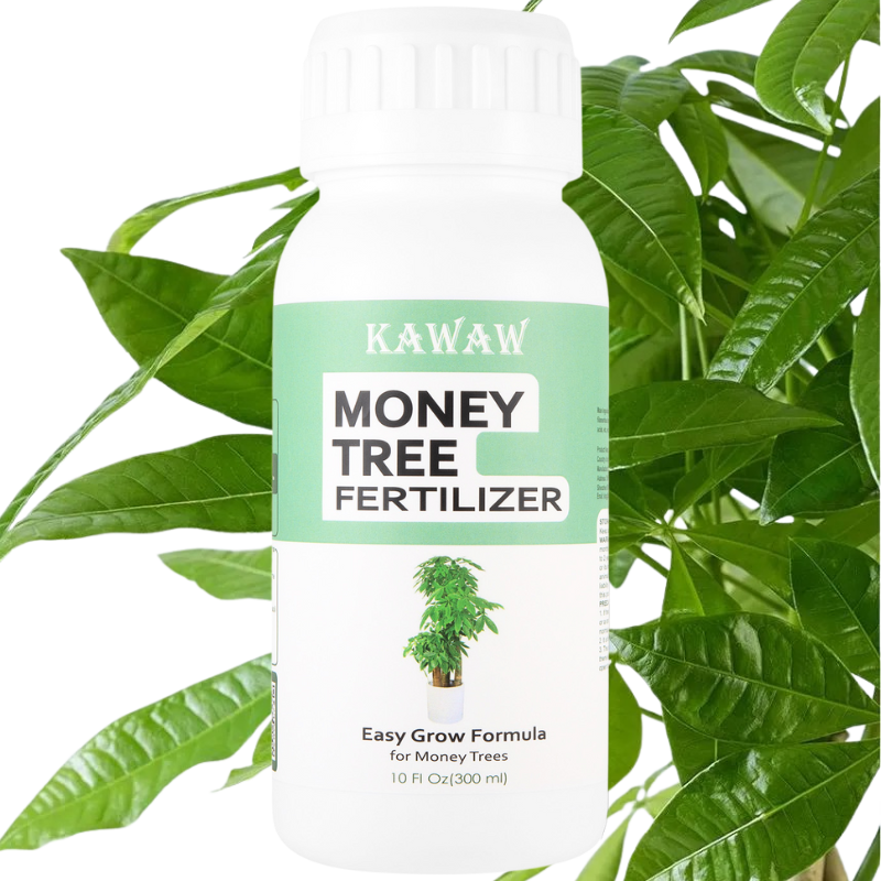 Money Tree Fertilizer