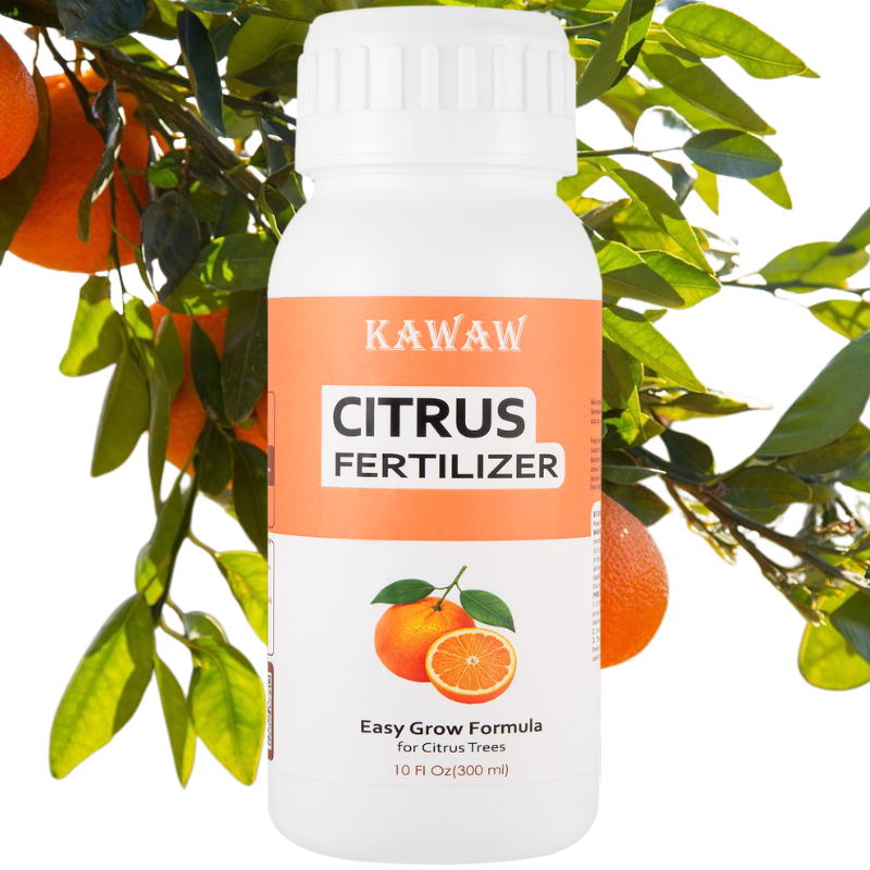 Citrus Fertilizer
