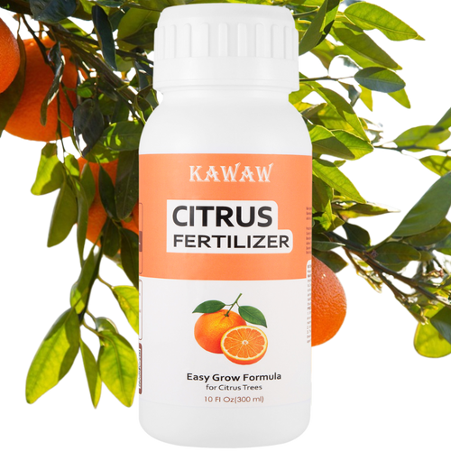 Citrus Fertilizer