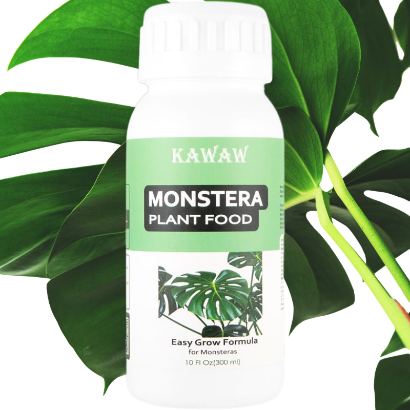 Monstera Fertilizer