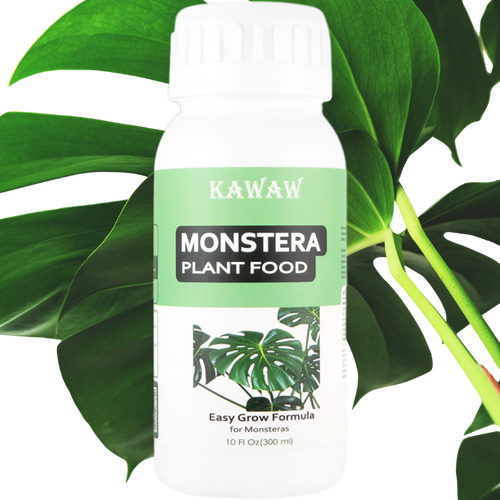 Monstera Fertilizer