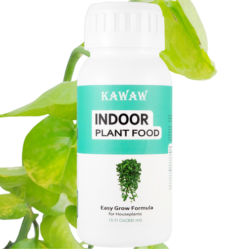 Indoor Plants Fertilizer