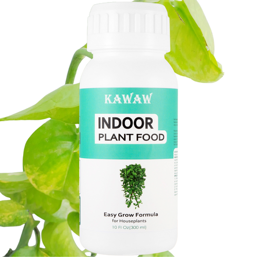Indoor Plants Fertilizer