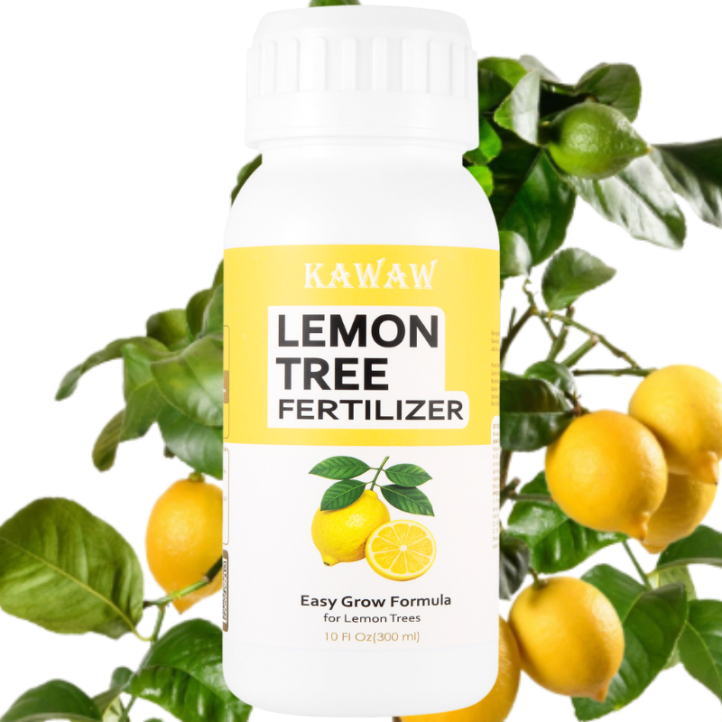 Lemon Tree Fertilizer