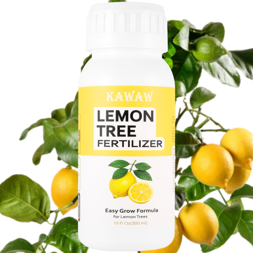 Lemon Tree Fertilizer