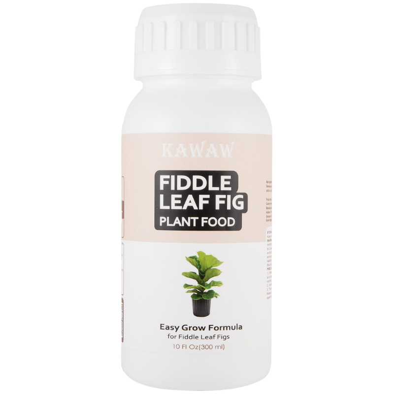 Fiddle Leaf Fig Fertilizer