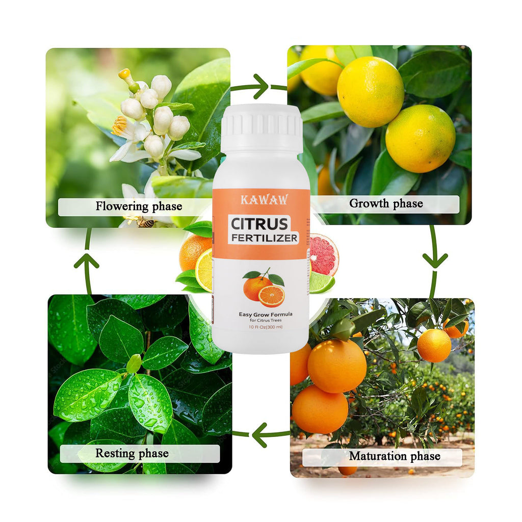 Citrus Fertilizer