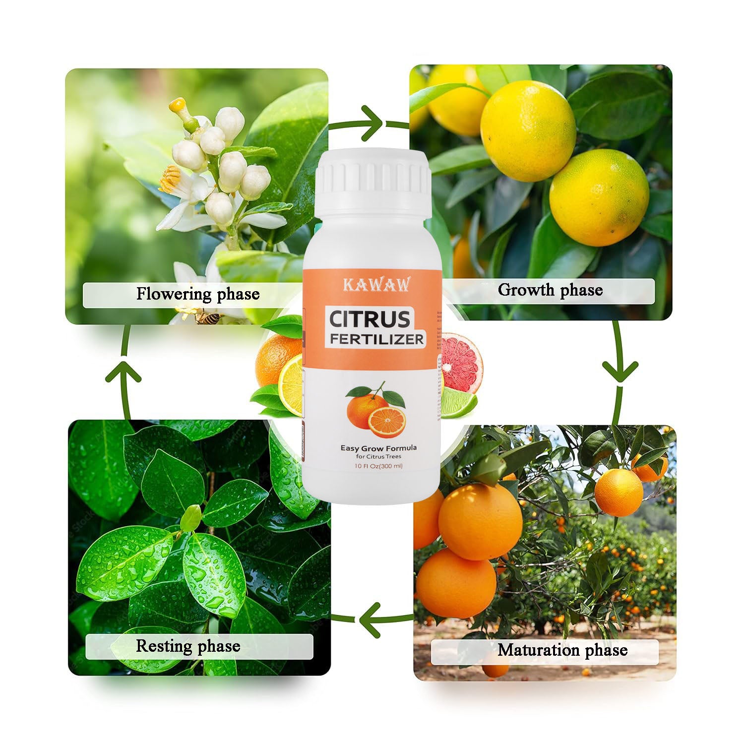 Citrus Fertilizer
