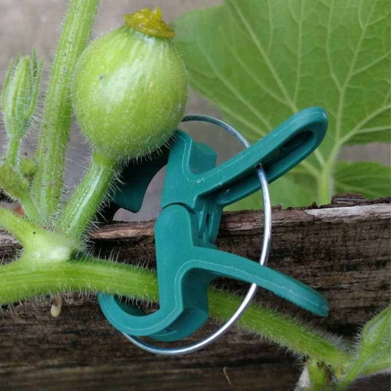 Green PP Garden Plant Clips Set