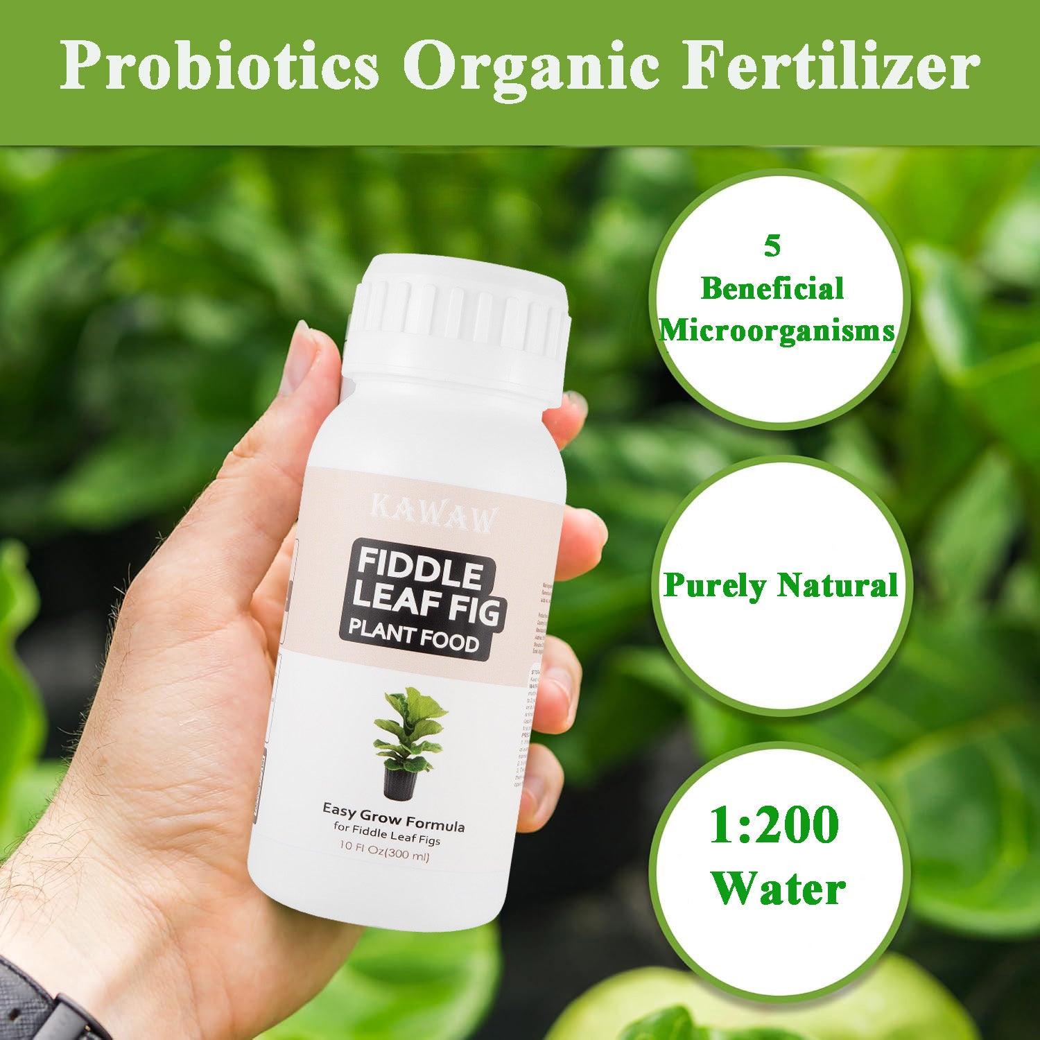 Fiddle Leaf Fig Fertilizer