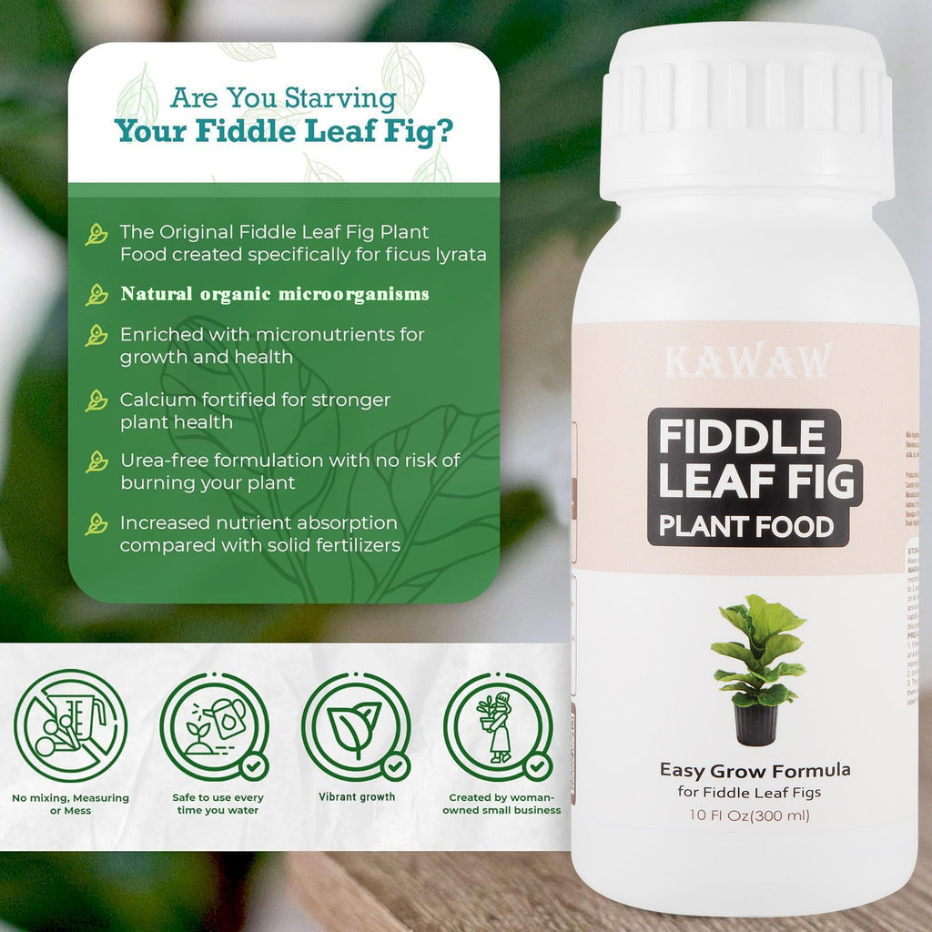 Fiddle Leaf Fig Fertilizer