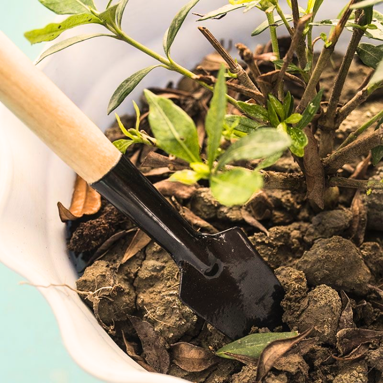 MINI Gardening Tool Set