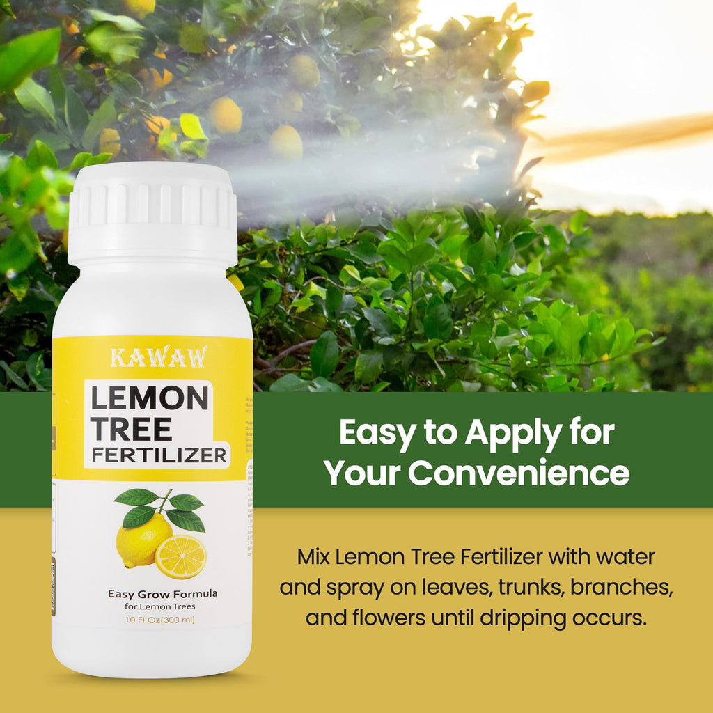 Lemon Tree Fertilizer