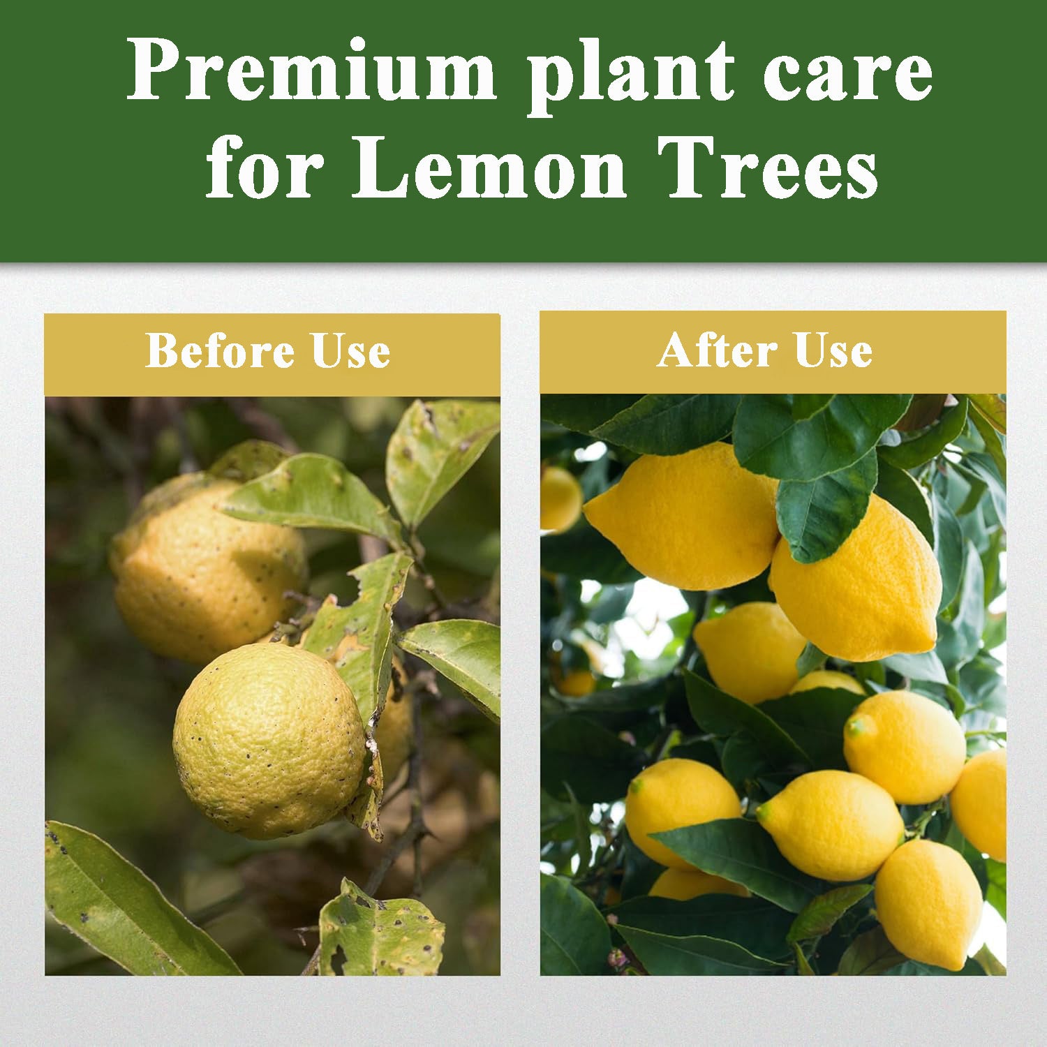 Lemon Tree Fertilizer