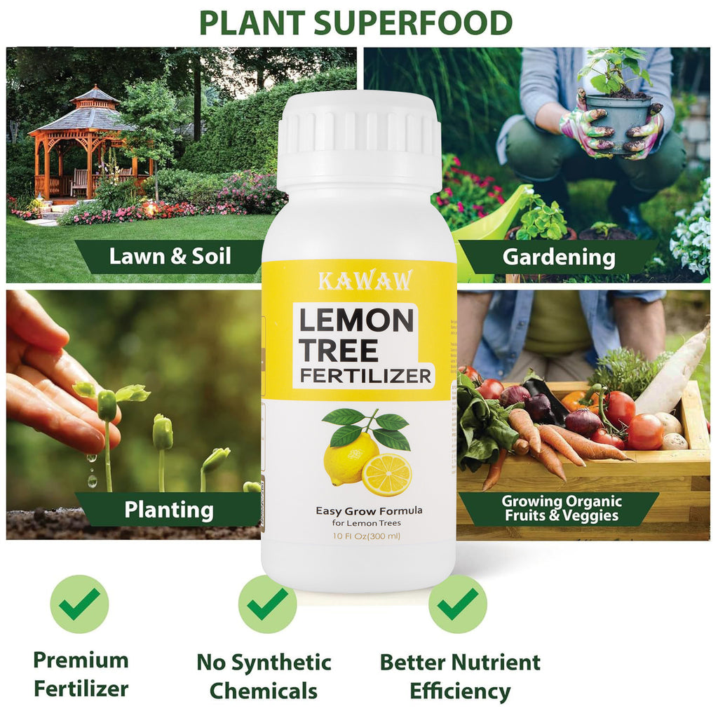 Lemon Tree Fertilizer