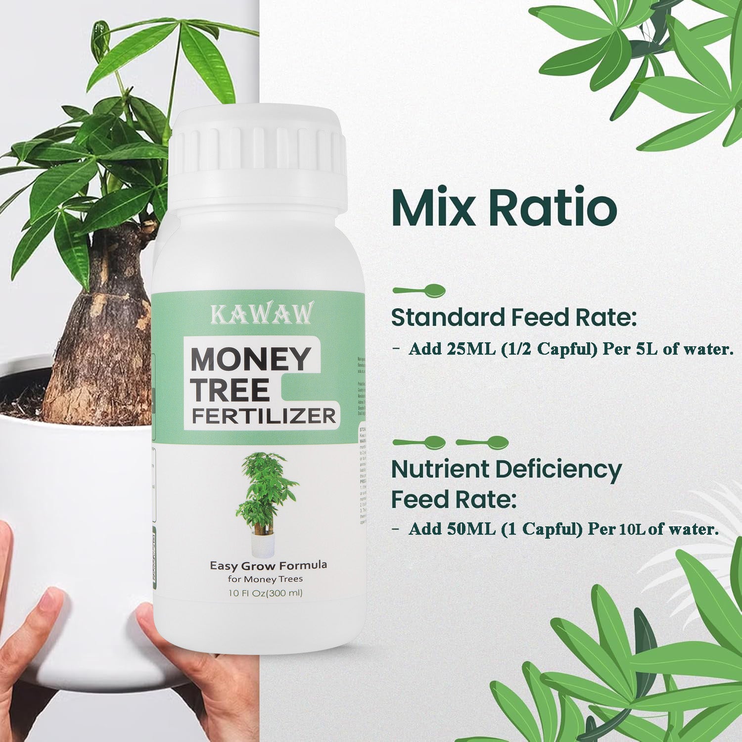 Money Tree Fertilizer