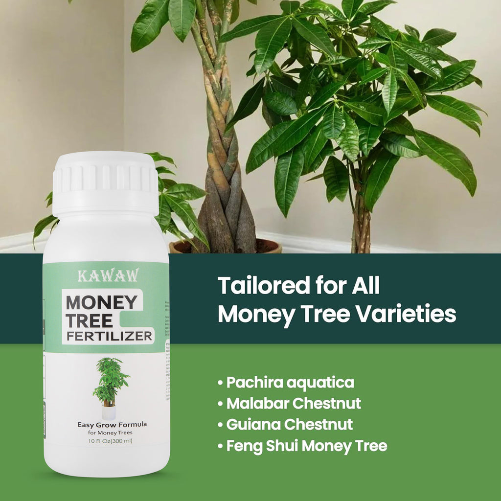 Money Tree Fertilizer