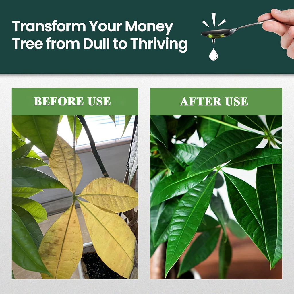 Money Tree Fertilizer