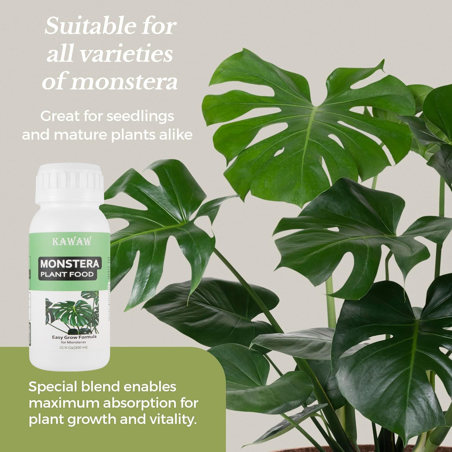 Monstera Fertilizer