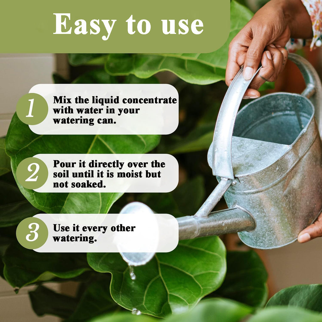 Indoor Plants Fertilizer