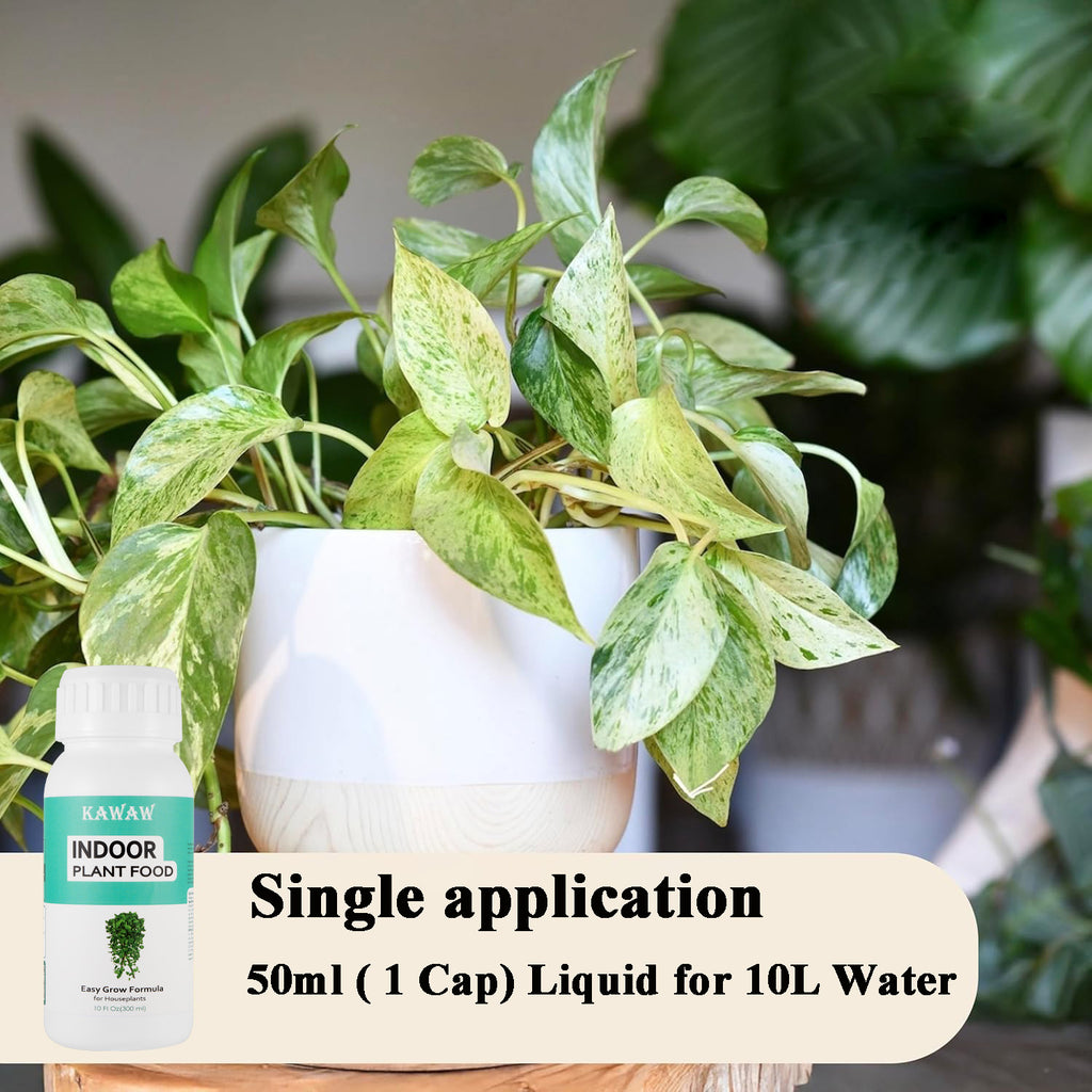 Indoor Plants Fertilizer
