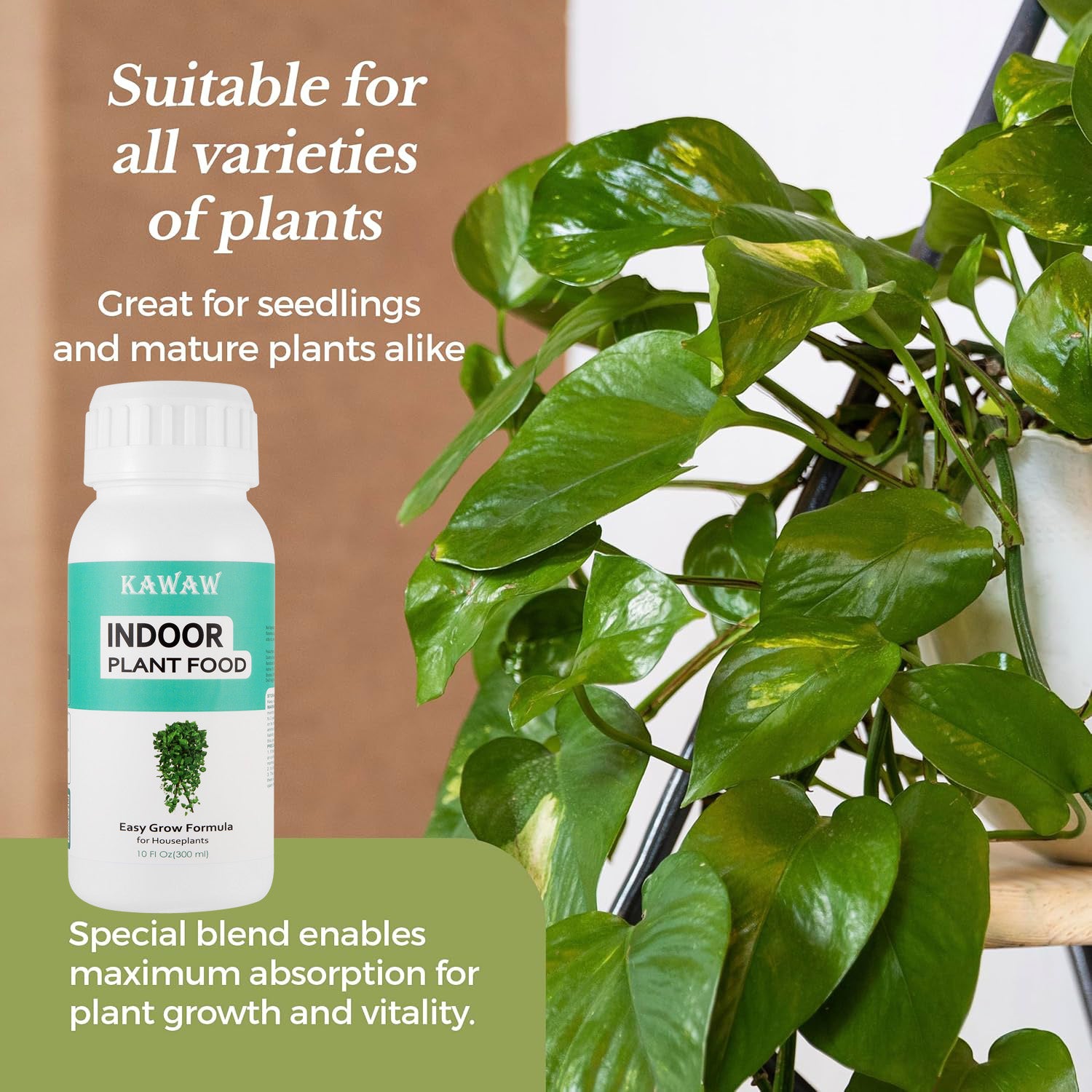 Indoor Plants Fertilizer